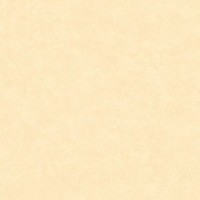 Papel Moda em Casa Ref.MD700404R