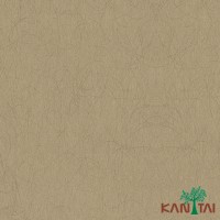 Papel de Parede Liso My Colors MY010012R