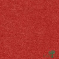 Papel de Parede Liso My Colors MY010102R