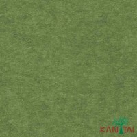 Papel de Parede Liso My Colors MY010202R