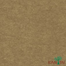 Papel de Parede Liso My Colors MY010203R
