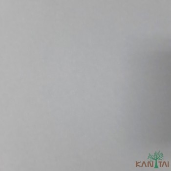 Papel de Parede Liso My Colors MY010402R