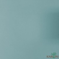 Papel de Parede Liso My Colors MY010409R