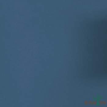 Papel de Parede Liso My Colors MY010415R