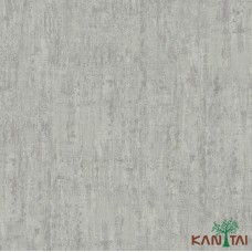 Papel de Parede Mesclado Paris II PA101301R