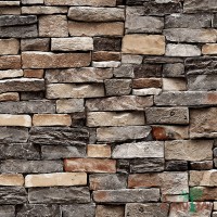 Papel de Parede Stone Age Ref.SN601202R