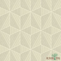 Papel de Parede Vision VI801102R
